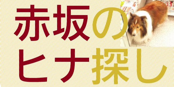 連載 港区 赤坂 赤坂のヒナ探し 第10回 補助犬と ちばわんと ヒナと 東京のむかしと本屋さん